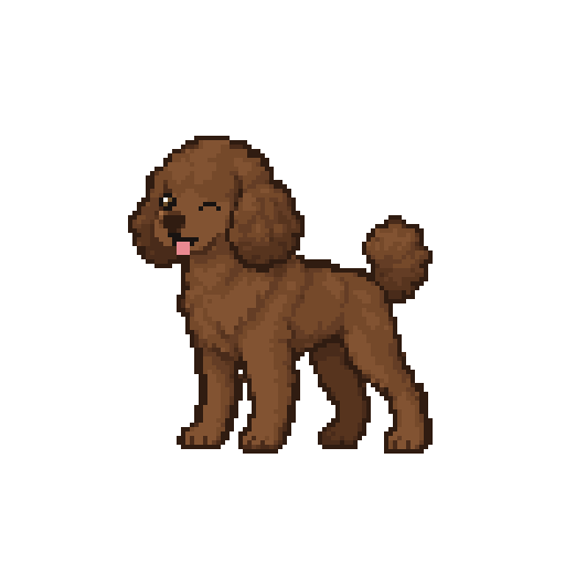 玩具贵宾犬